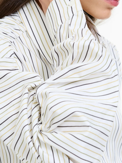 Cambria Stripe Cotton Button Down Shirt